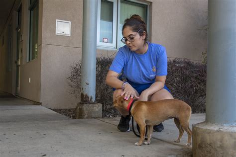 San Jose animal shelter kept dogs and cats in dirty kennels – East Bay ...