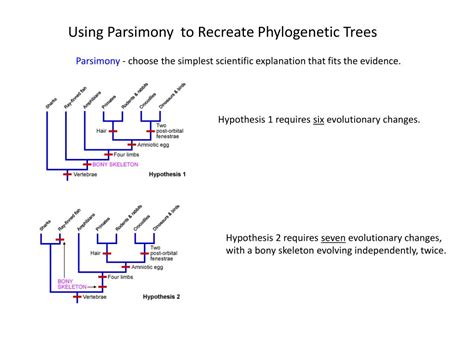 PPT - Augustin Augier’s detailed tree of life for plants in 1801 ...