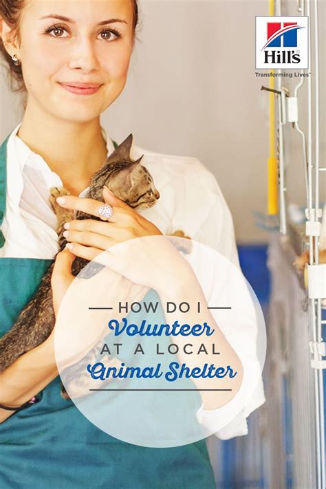 Animal Shelter Volunteer Opportunities | Hill's Pet | Animal shelter, Animal shelter volunteer ...