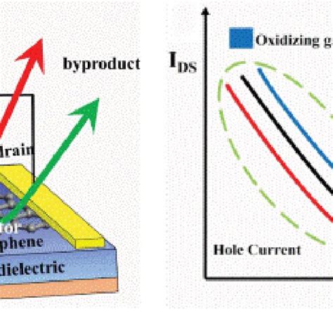 (a) Schematic representation of back gated GFET gas sensor device [24].... | Download Scientific ...