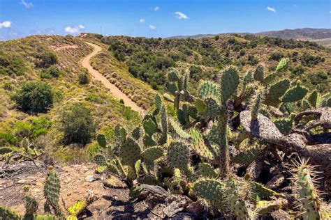 These are the best hiking trails in Orange County - Los Angeles Times