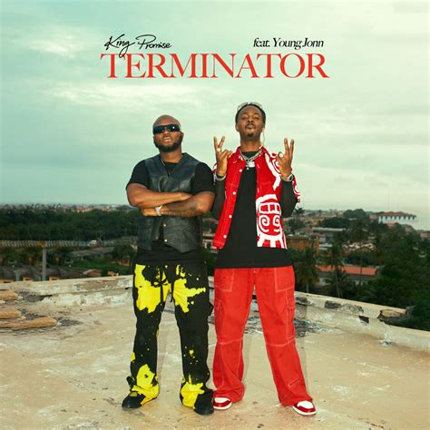 ‎Terminator (feat. Young Jonn) - Single - Album by King Promise - Apple ...