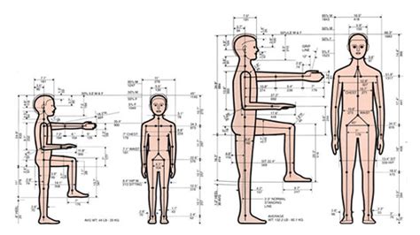 Ergonomics | R2FACT Product Development