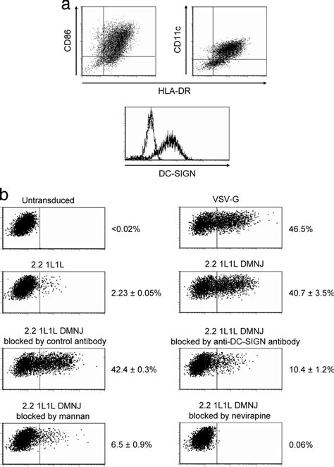 (a) Expression of surface markers on human dendritic cells. Dendritic ...