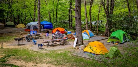 The 10 Best Campgrounds in/near Bryson City NC