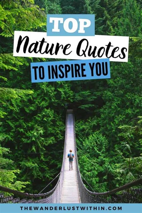 133 Best Nature Quotes For Those Who Love The Outdoors 2023 - swedbank.nl