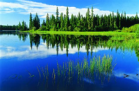 little limestone lake – Expérience Canadienne