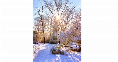 2/13/14 - Alabama in the Snow, Once Again | Picture Birmingham