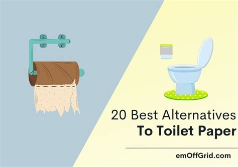 20 Best Alternatives To Toilet Paper