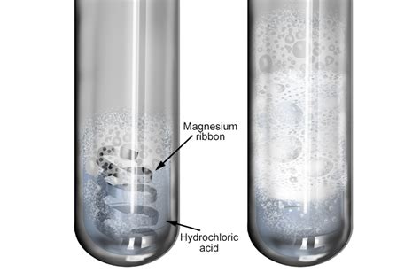 Magnesium Reaction With Water / Hydrochloric acid | Magnificent molecules | Education in ...