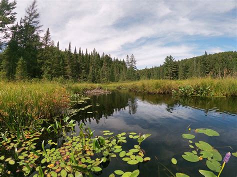 Algonquin Park Canoe Routes -Discovery Routes