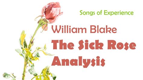 The Sick Rose by William Blake Analysis - YouTube