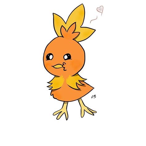 Here’s Torchic! : r/pokemon