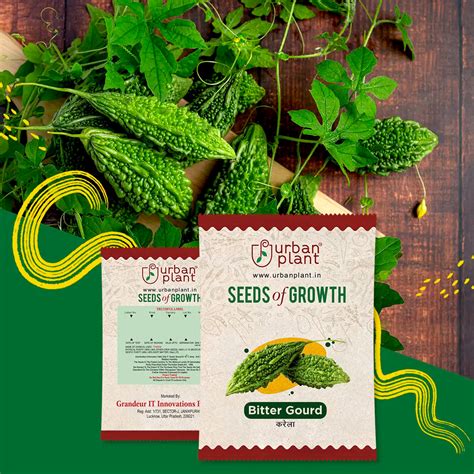 Buy Bitter Gourd Seeds Online-Urban Plant