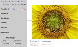 Logarithmic Spiral and Fibonacci Numbers – GeoGebra