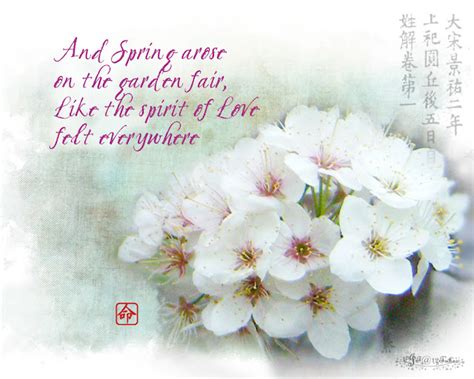 Spring Cherry Blossom Quotes. QuotesGram