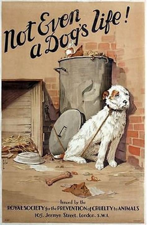 Vintage RSPCA Animal Cruelty Awareness Dog Neglect Poster A3