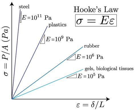 Mechanics of Materials: Strain » Mechanics of Slender Structures (2023)