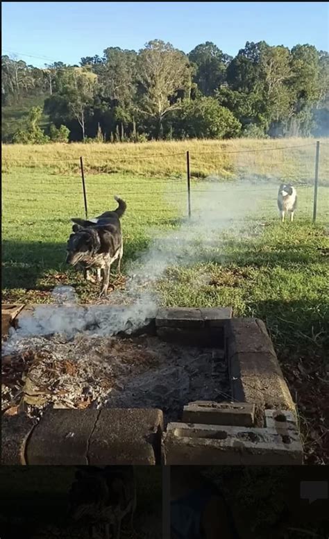 Kandanga Creekside Camping - Hipcamp in Kandanga, Queensland