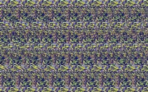 Stereogram