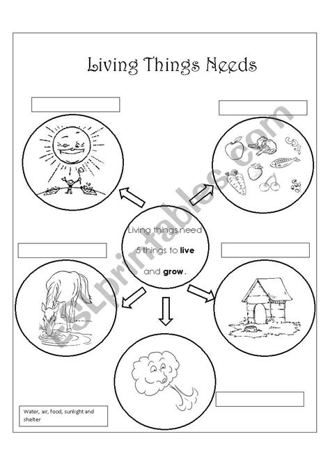 LIVING THINGS NEEDS - ESL worksheet by Yina