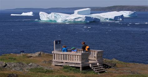 How to See Iceberg Alley in Newfoundland