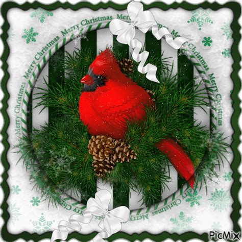 Christmas Cardinal-RM-12-19-22 - Free animated GIF - PicMix