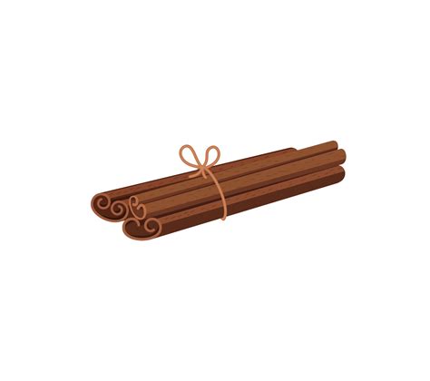 Vector illustration of Cinnamon Sticks species isolated on white ...