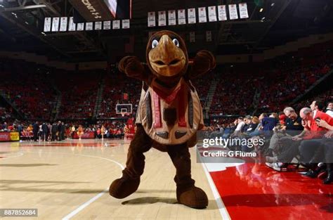 Bucknell Mascot Photos and Premium High Res Pictures - Getty Images