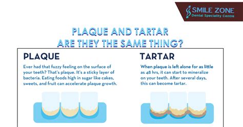 Are Plaque and Tartar the same thing?