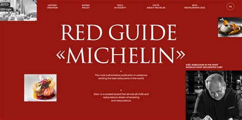 The Michelin Guide