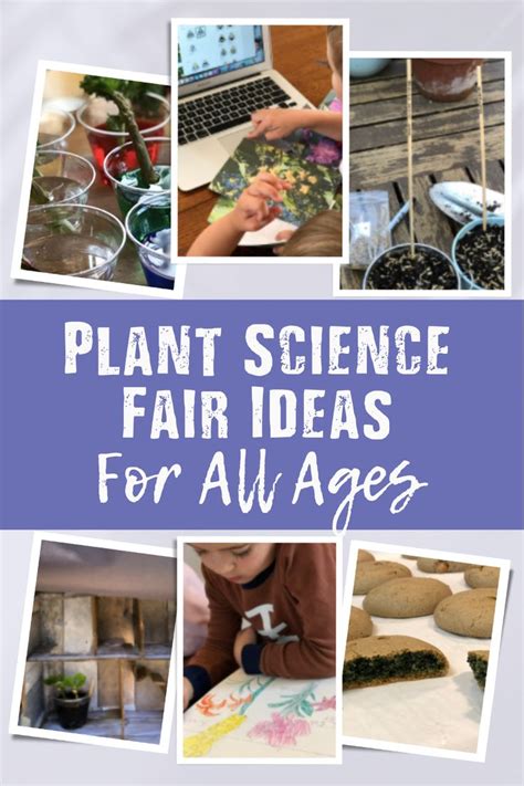 a collage of photos with text that reads plant science fair ideas for all ages