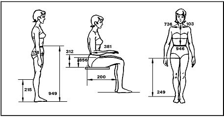 The study of Ergonomics & Antropometrics | Apple Kam