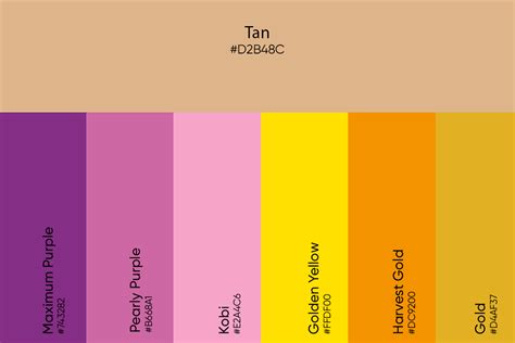 Tan Color: Its Meaning, Codes, and Top Palette Ideas - Picsart Blog