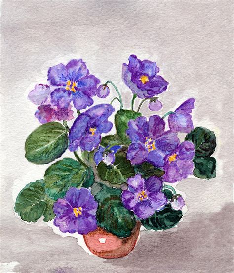 Watercolor Painting Of African Violet Digital Art by Mitza - Pixels