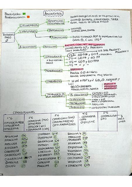 Microbiología Clínica | CaFeRiLu | uDocz