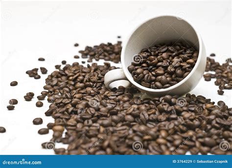 Too much coffee stock image. Image of grains, glass, beans - 3764229