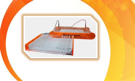 DNA Gel Electrophoresis: Step-by-Step Protocol - iGene Labserve