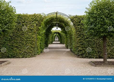 Bosquets in RundÄ le Palace Garden, Latvia Stock Photo - Image of arch, trees: 137535972