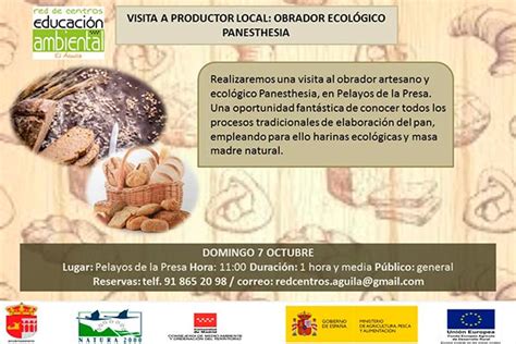 Visita a productor local: Obrador Ecológico Panesthesia - Plan Infantil