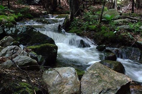 Babbling brook | Photo slideshow, Waterfall, Outdoor