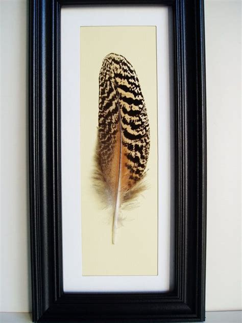 framed feather - I could do this with my pheasant feather | Feather decor, Pheasant feather ...