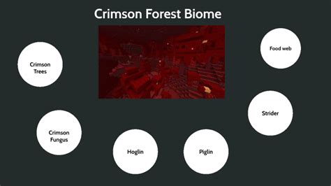 Crimson Forest Biome Project by Crow Koenig on Prezi