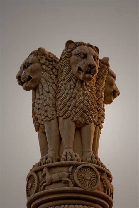 Free Images : wood, mammal, castle, lion, sculpture, art, snake, pierre ...