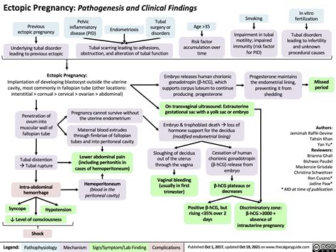 Ectopic Pregnancy | Calgary Guide