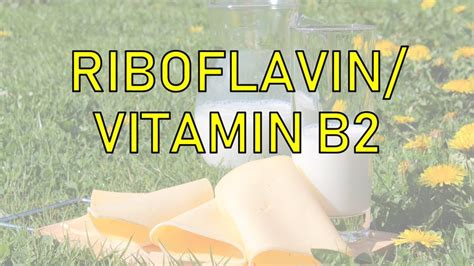 Riboflavin/ vitamin B2, daily requirement,food sources, deficiency ...