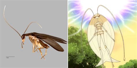 New Cockroach Species Found In S’pore Named Pheromosa After Pokémon Character, Origins Unknown ...