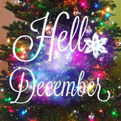 Hello December | Hello december, Christmas time, December