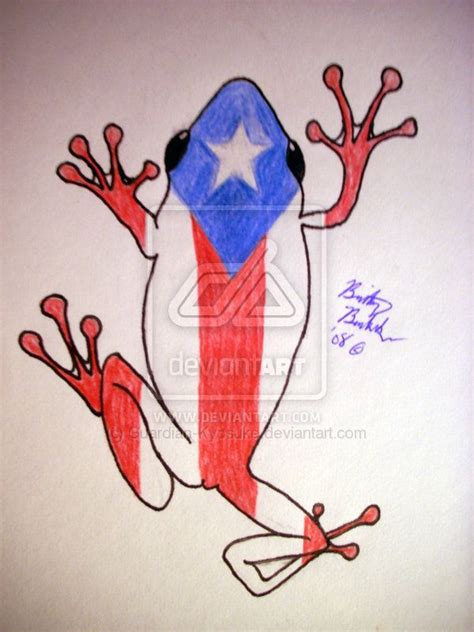 a drawing of a frog with the colors of the puerto flag on it's body