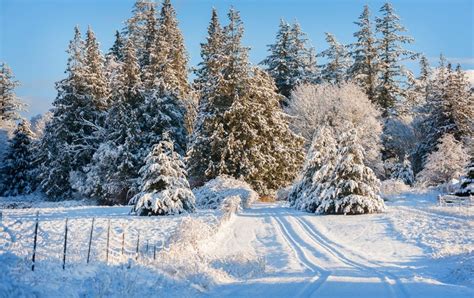 Love Snow? Here's How It's Changing - Scientific American